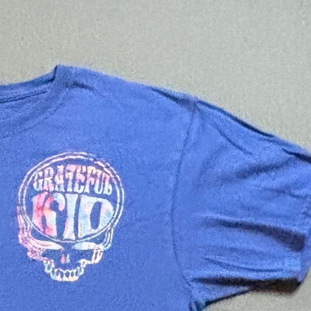 Grate Kid Grateful Dead Graphic T Shirt Mens M Blue Steal your Face Stealy